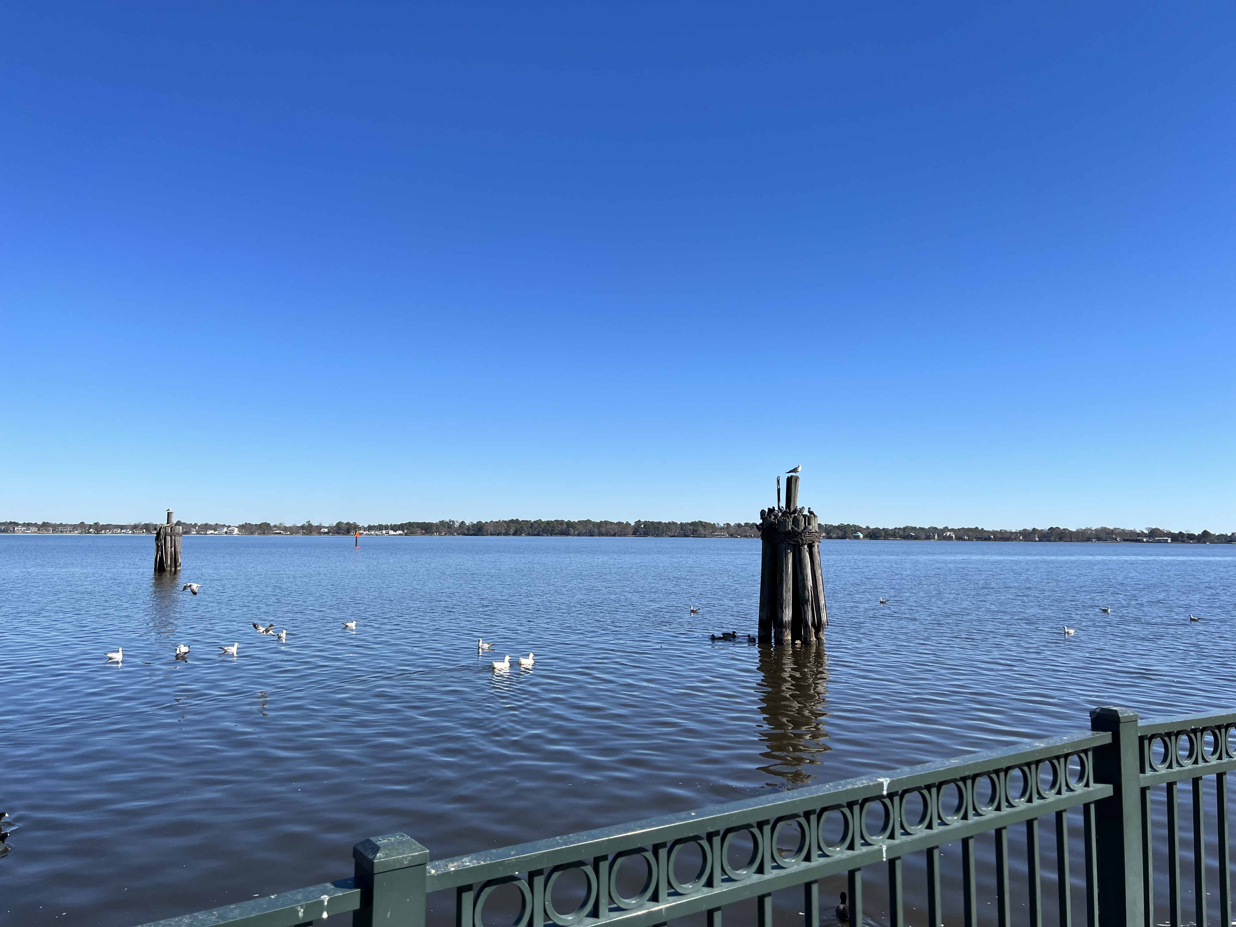 ./2023/01 - New Bern/IMG_7434.JPG
